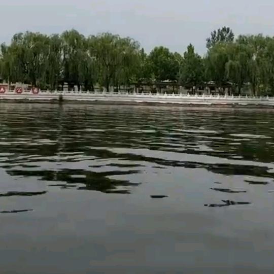 杨杨得溢