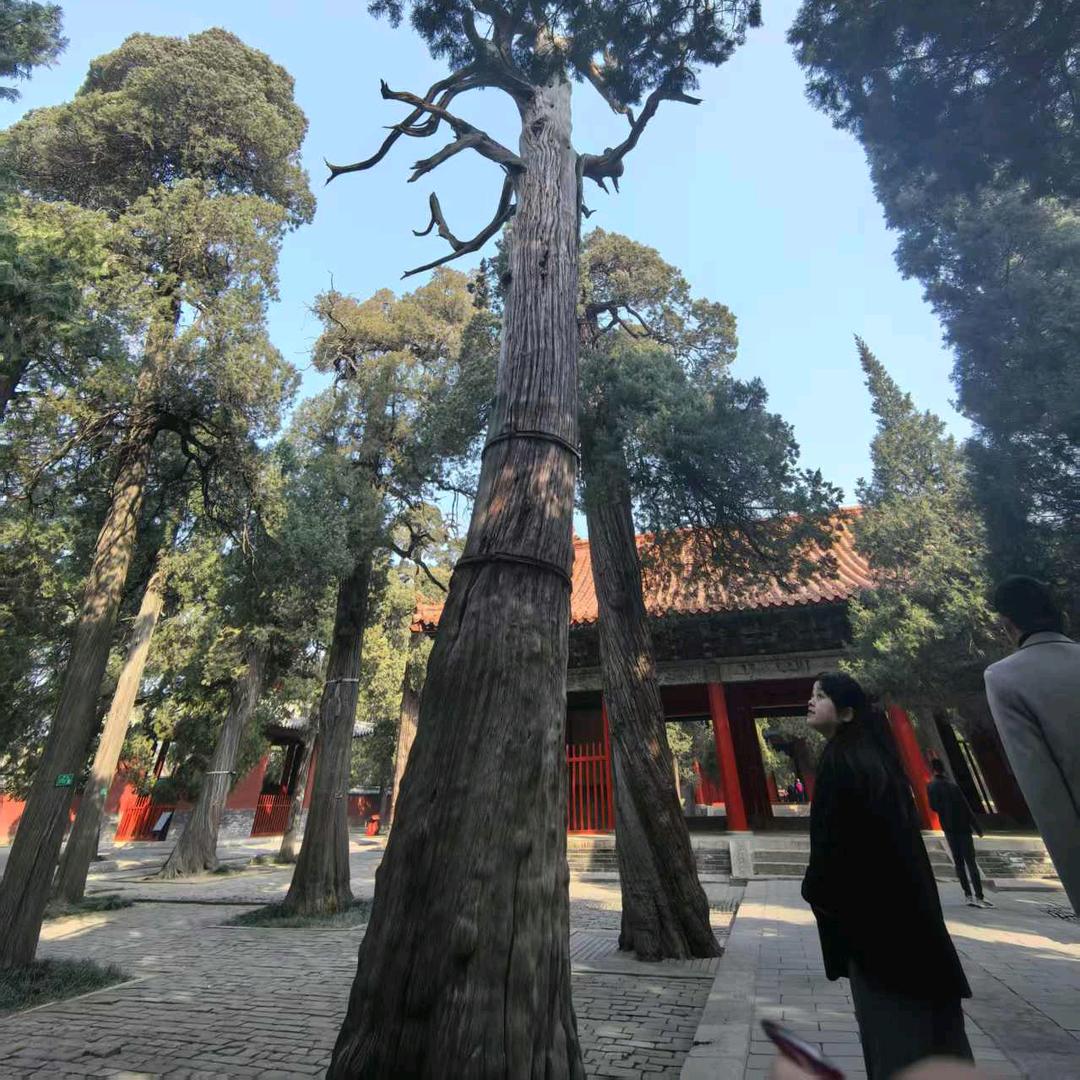 安悦
