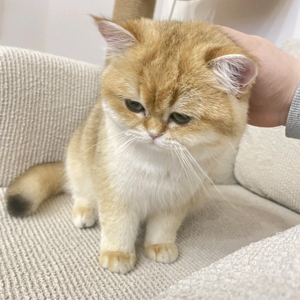 清风随你