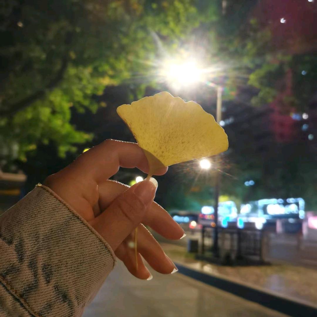 半糖 . 文案