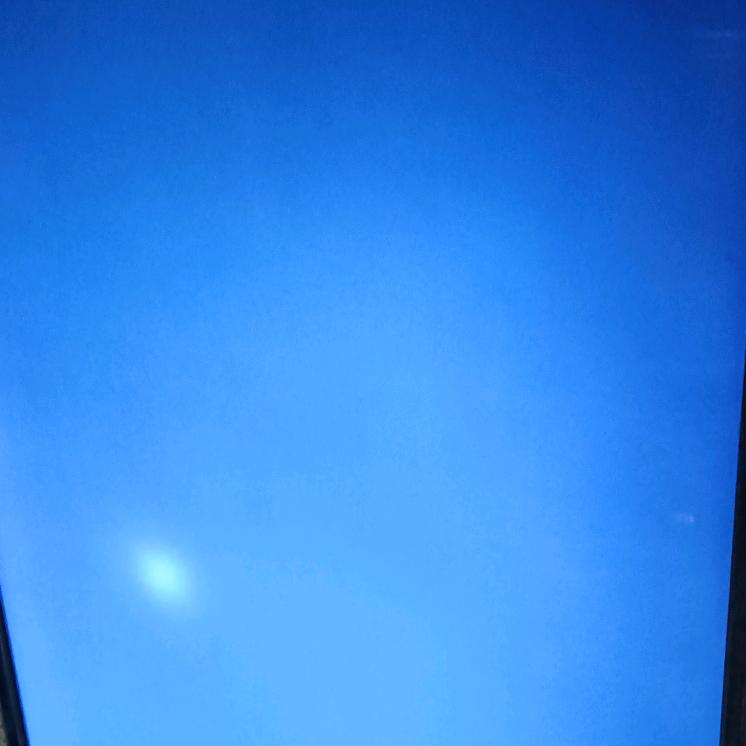 喜欢唱歌的金