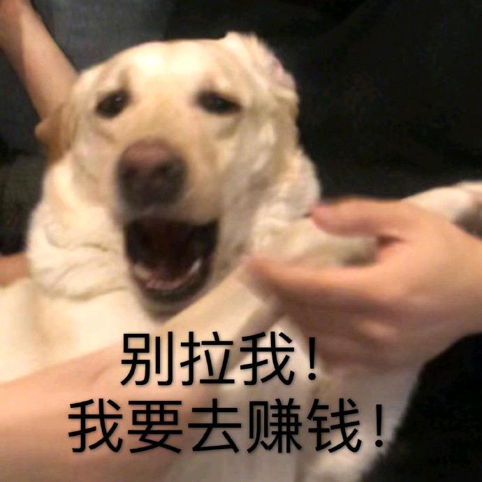 打工都是人上人