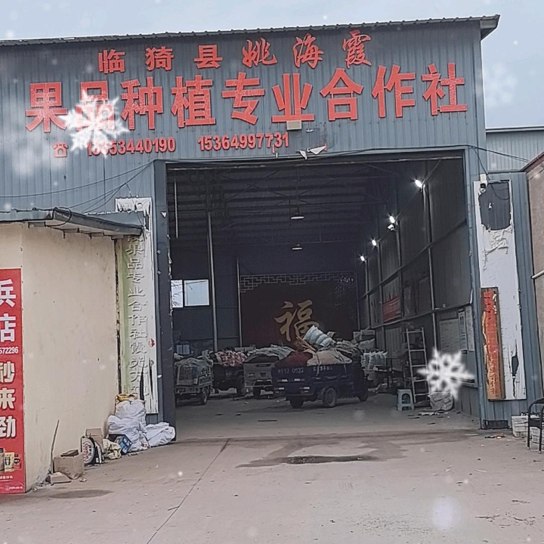临猗县姚海霞果品