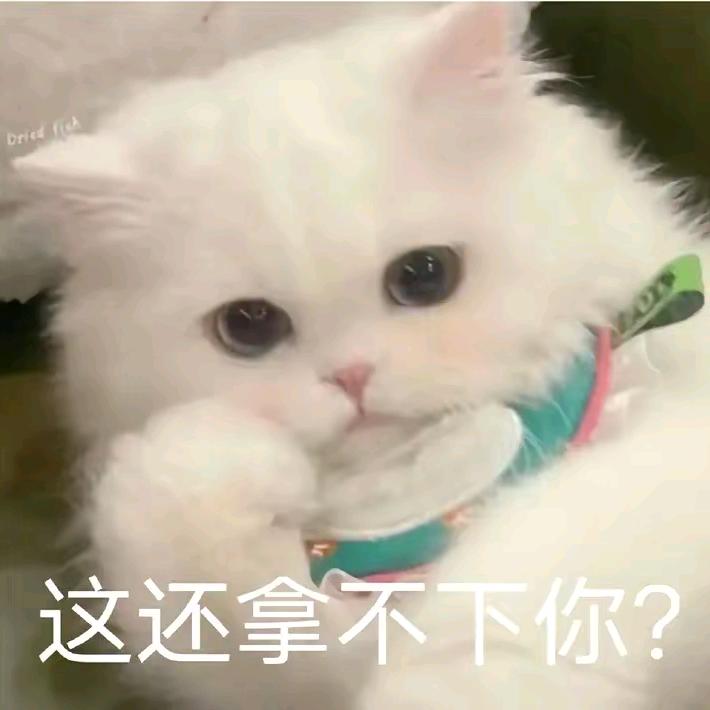 魔法披风