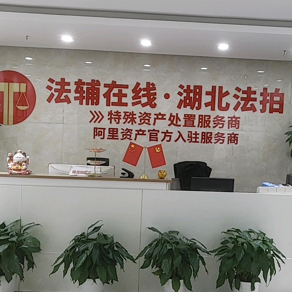 湖北法拍☞刘波