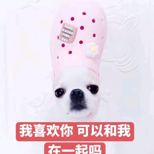 妈妈咪鸭