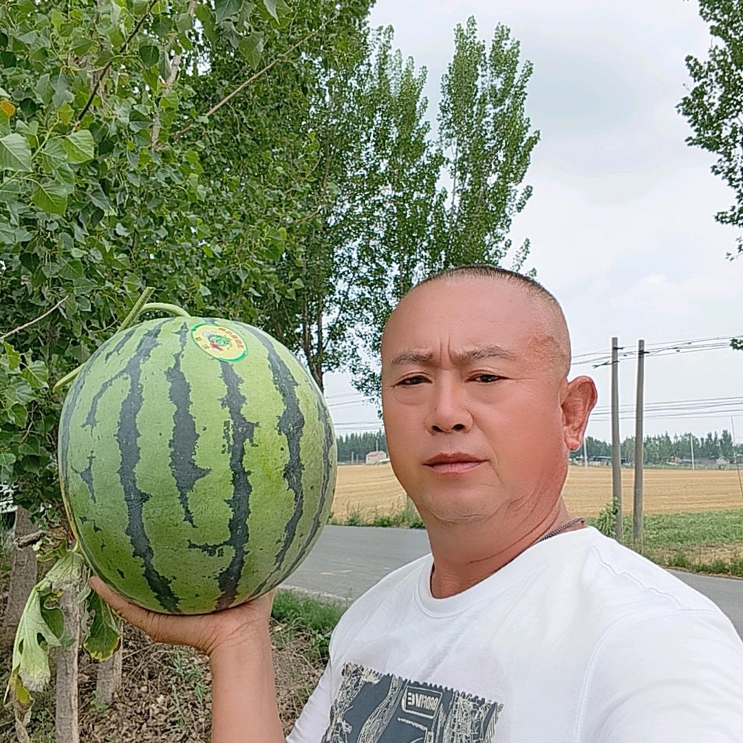 博兴彬哥,传播正能量!