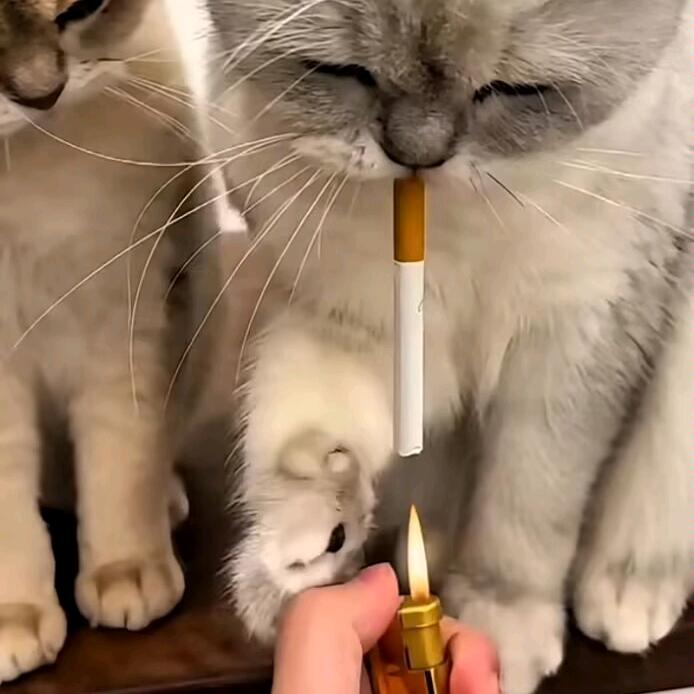 上网的我