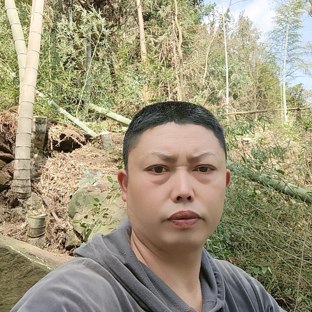 大量承接各类竹木