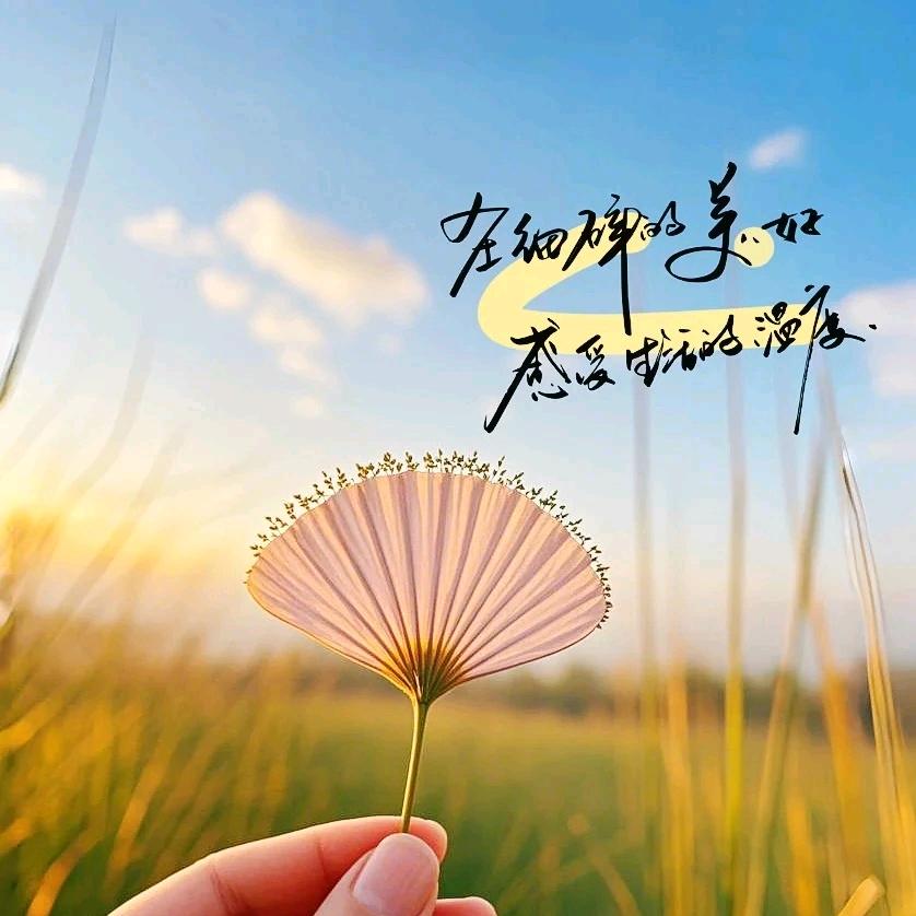 大水滴