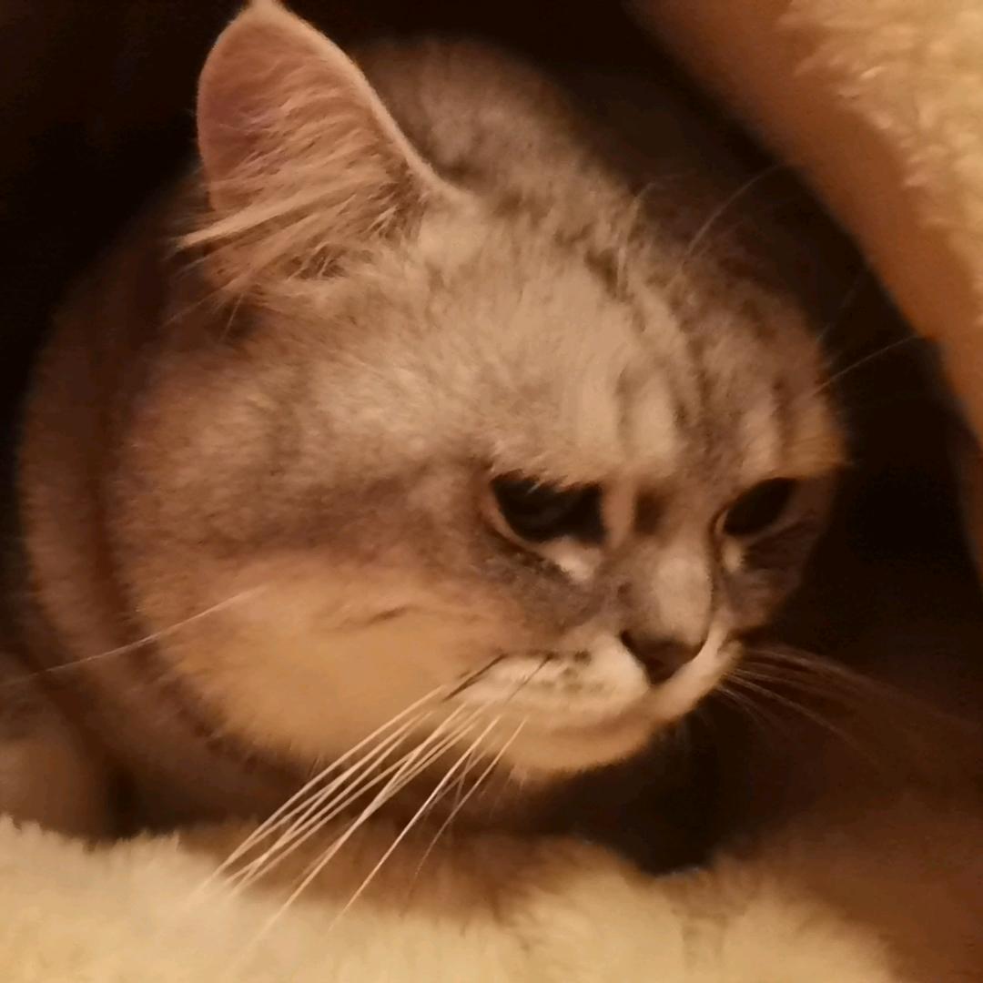 代千千