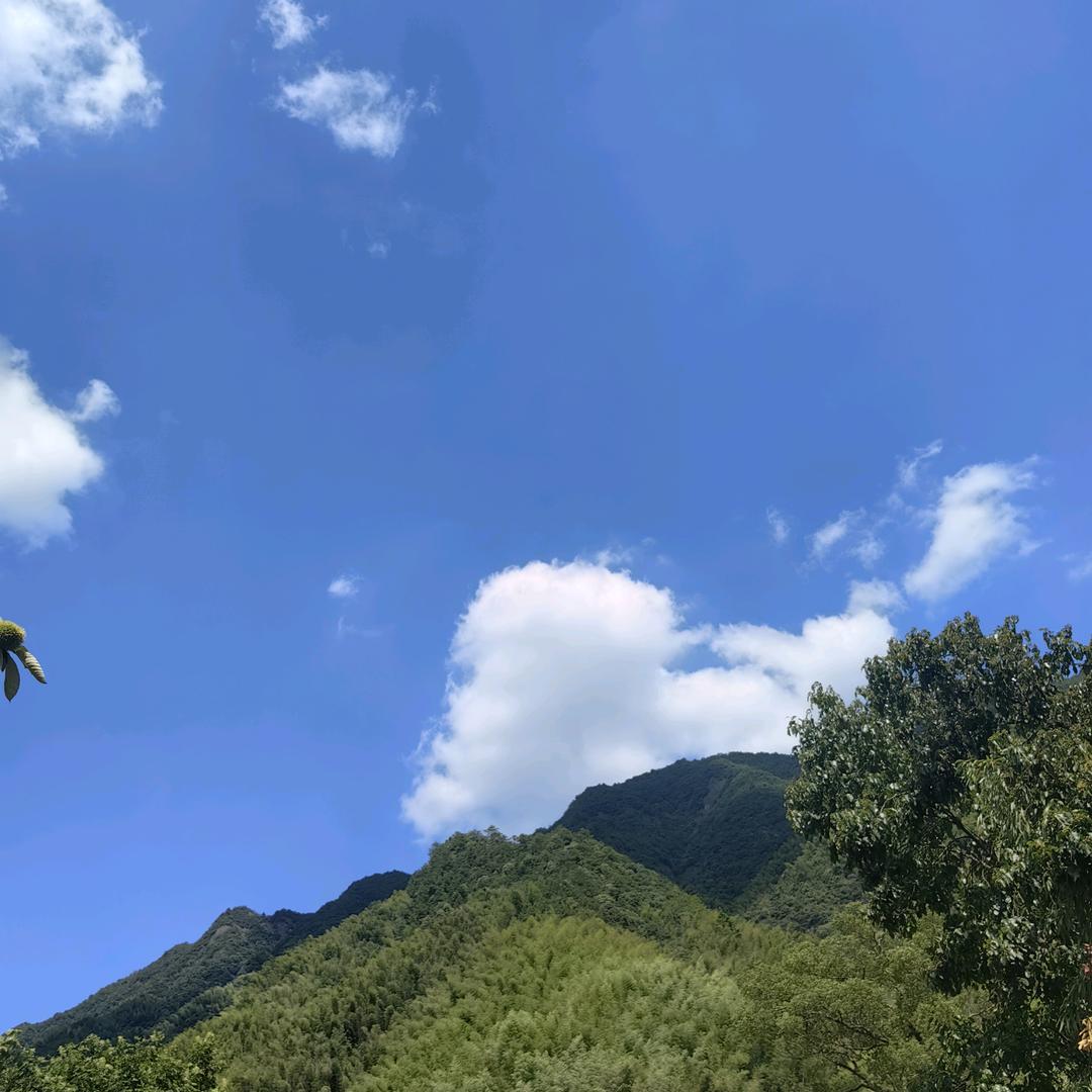 馨儿