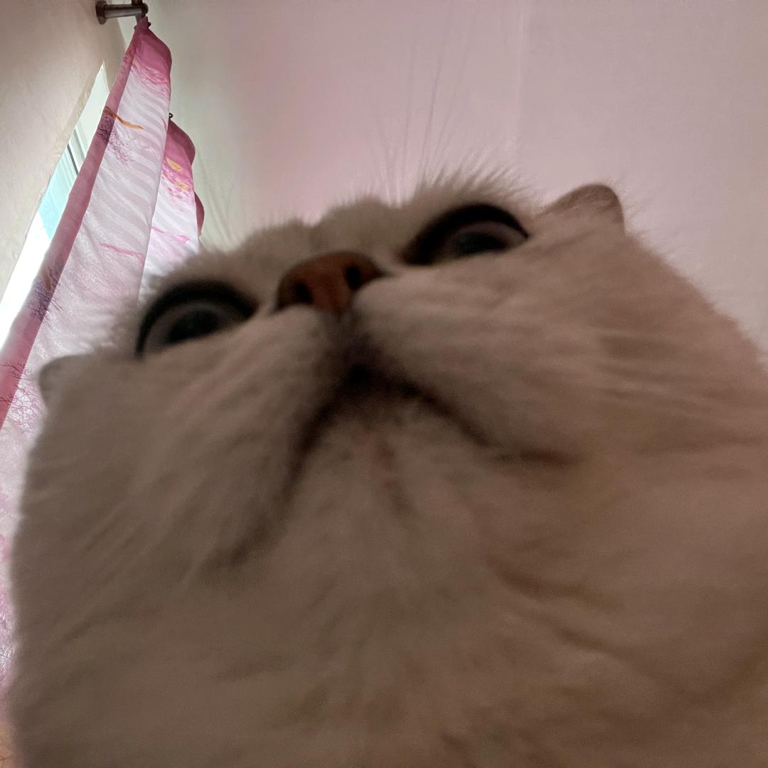 滴滴答答。
