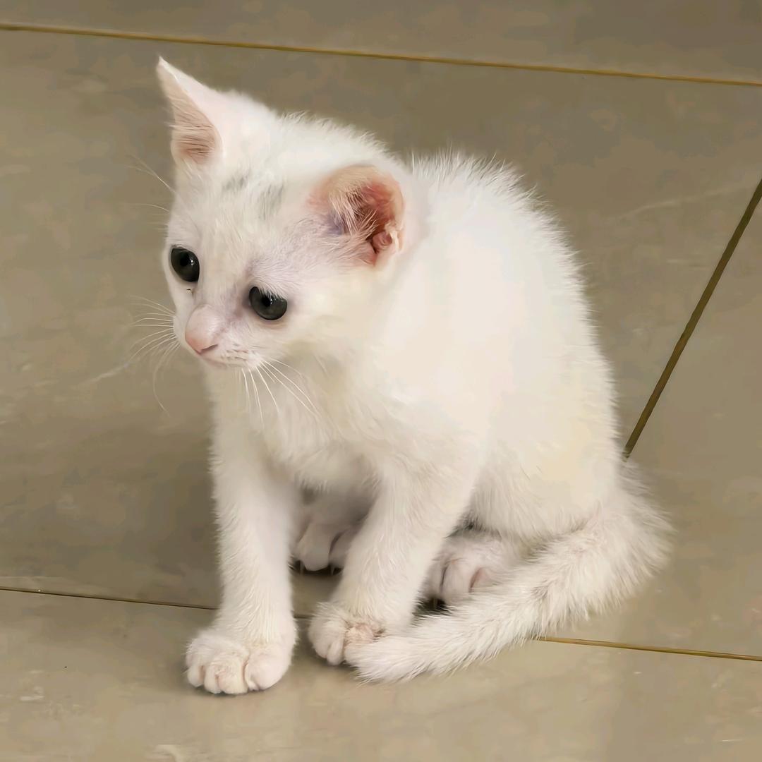 我叫点点