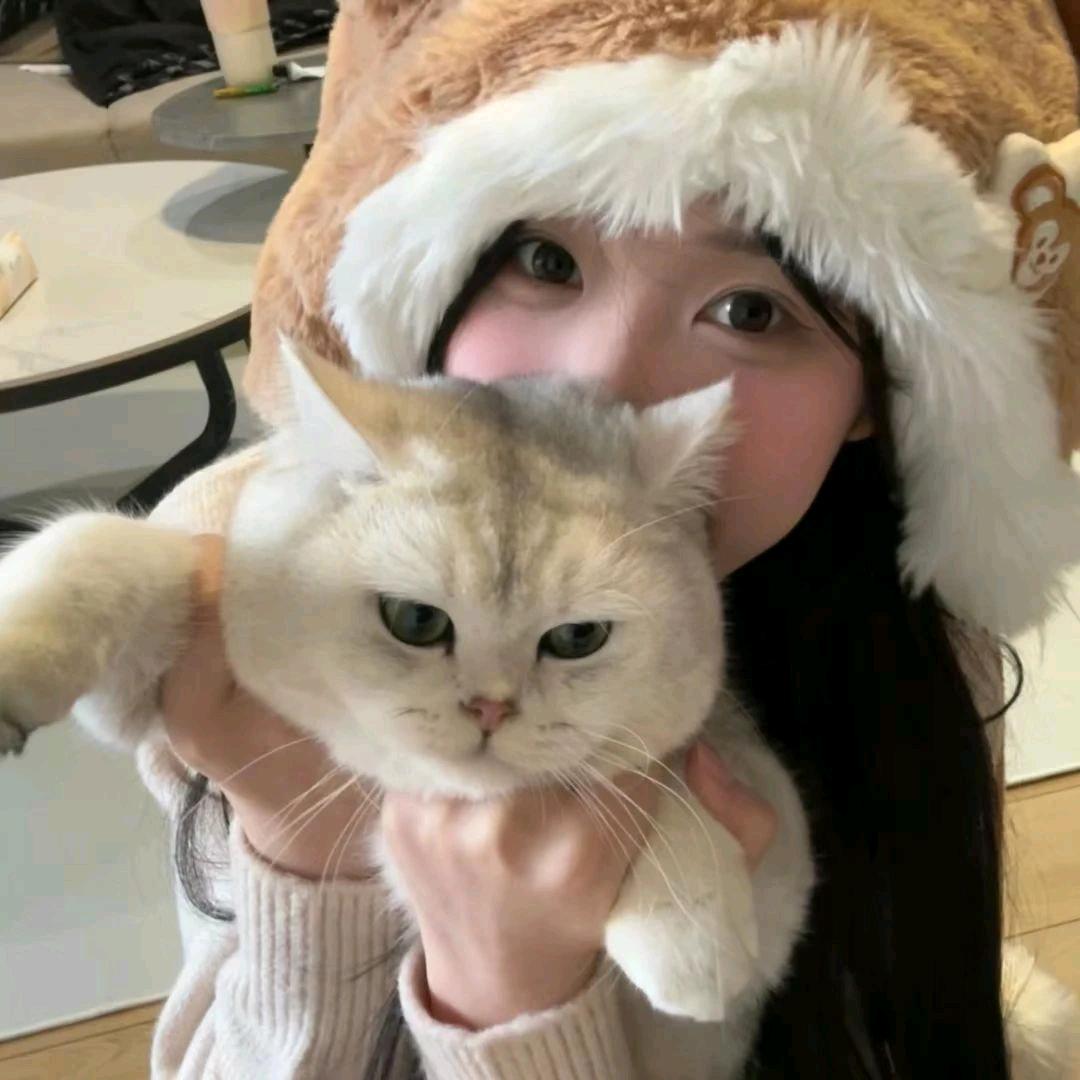 木 木 ๓
