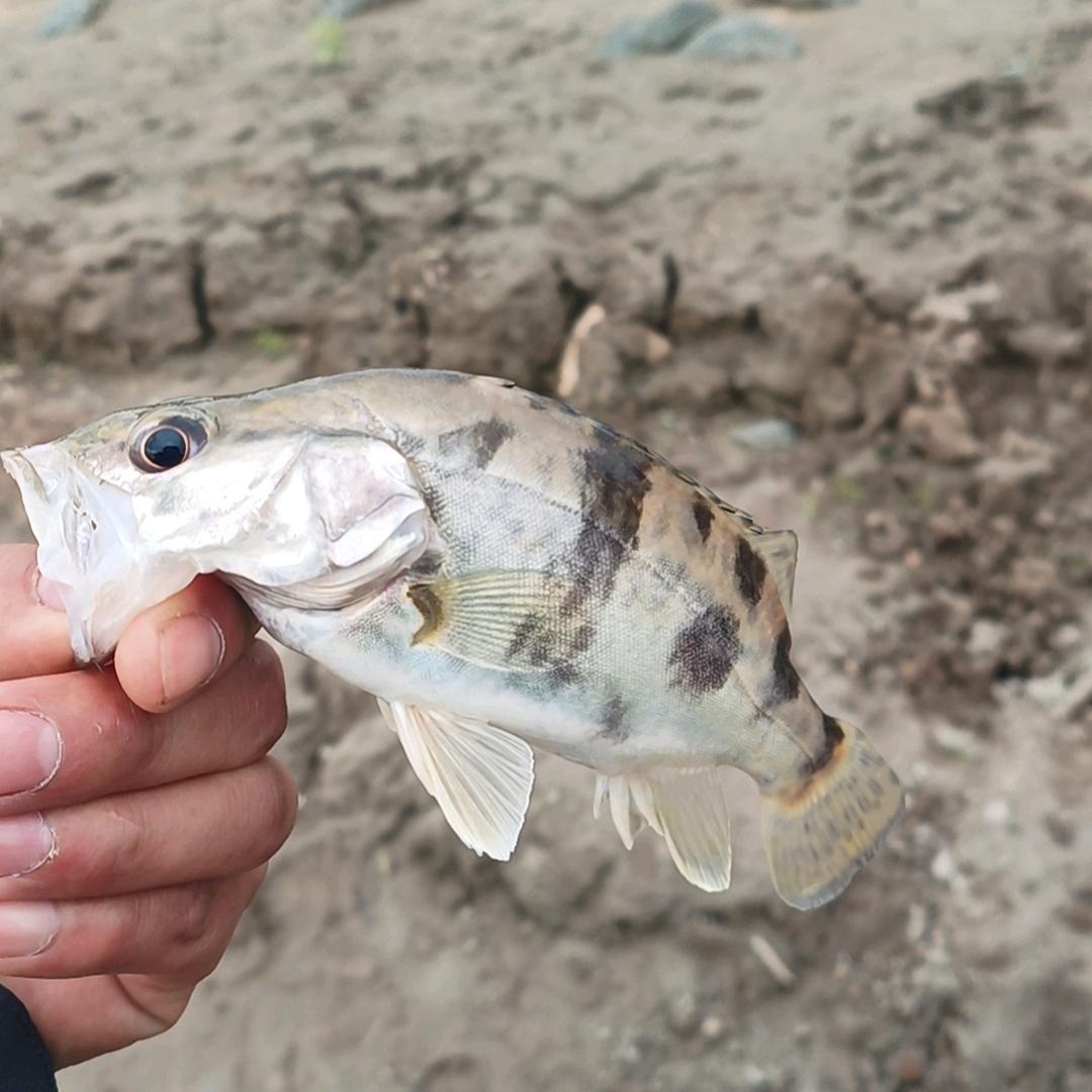 一直都在🌈💨