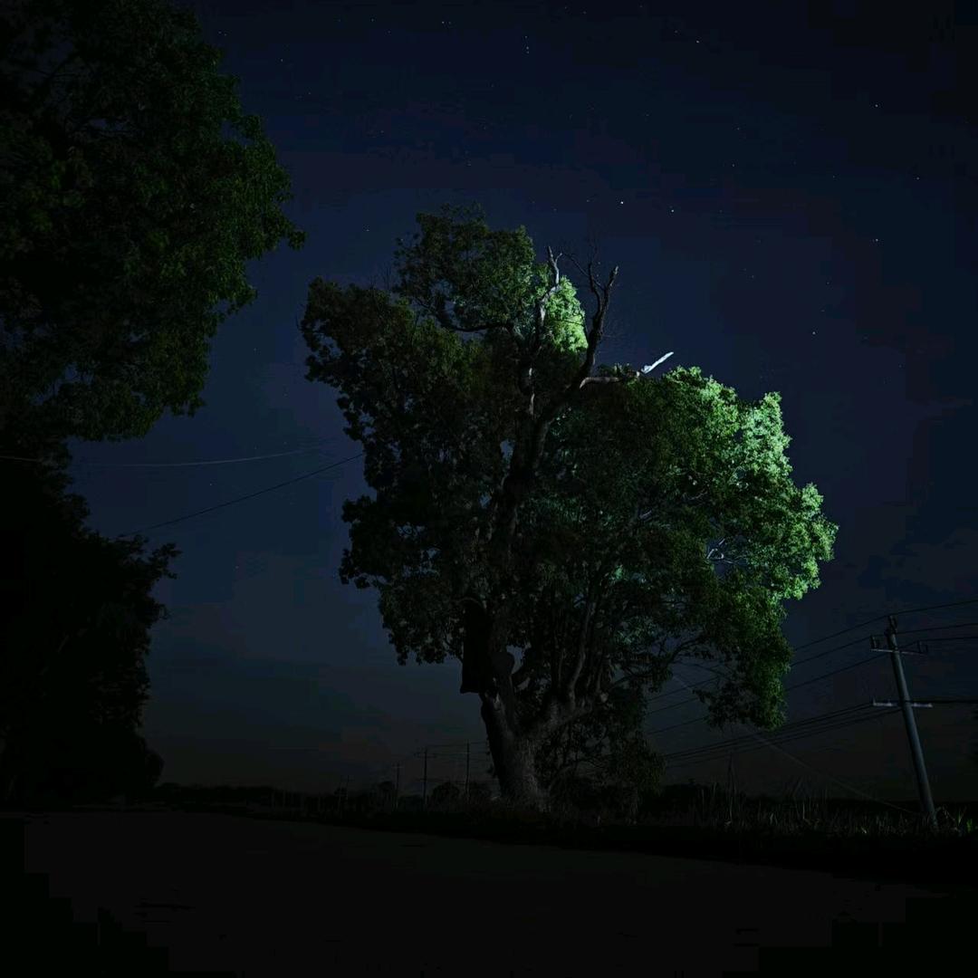 靓梁王者