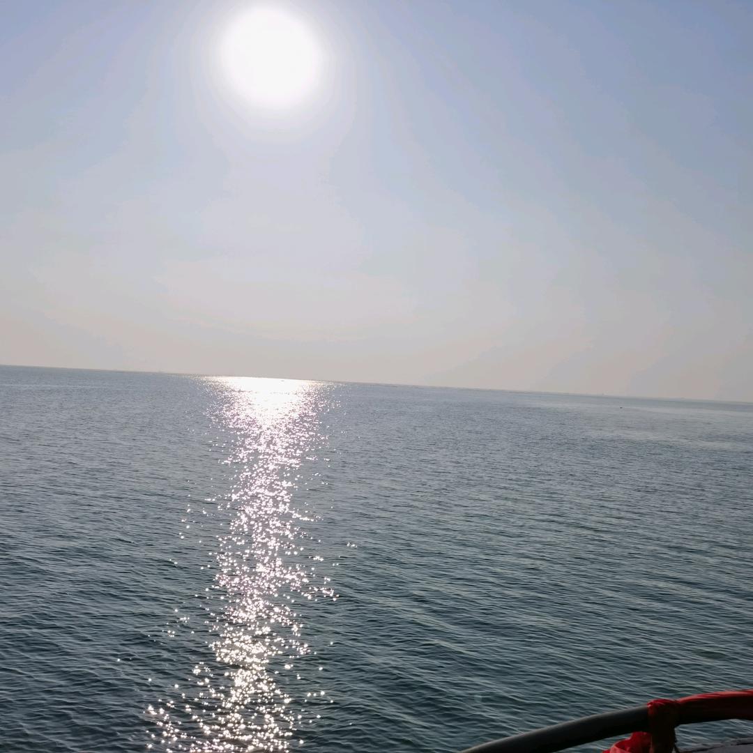 日照渔火海鲜