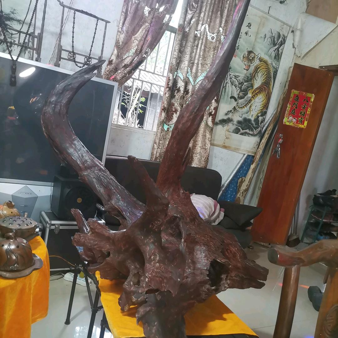 神游天下