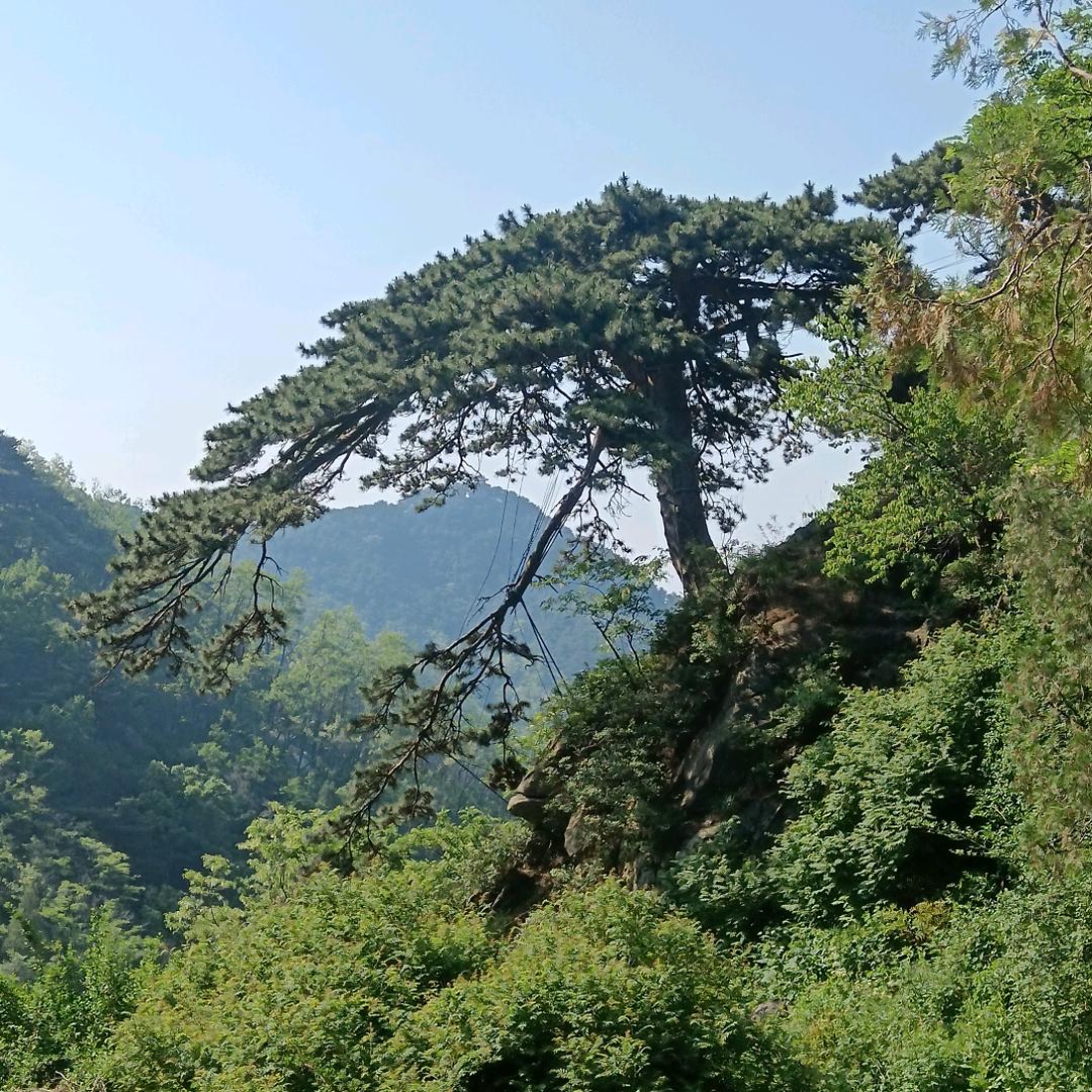 暖心向阳