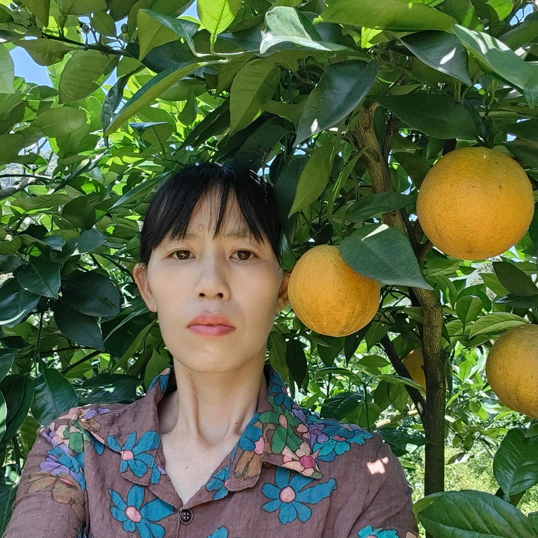 新农人橙子姐