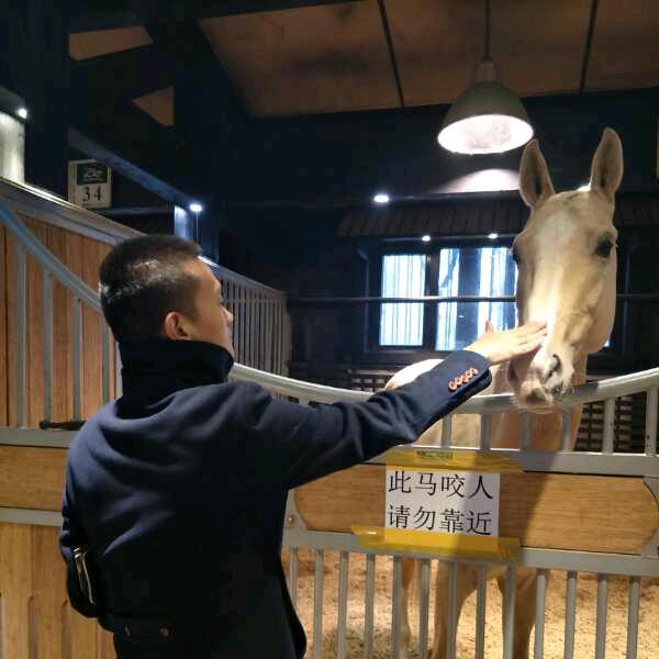 林   低铁石英砂