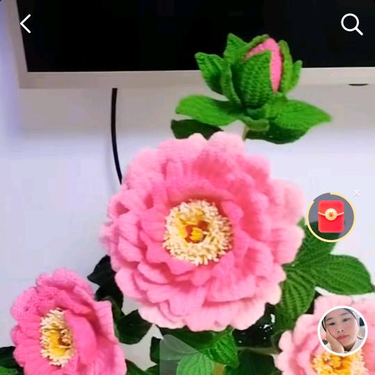 从零开始