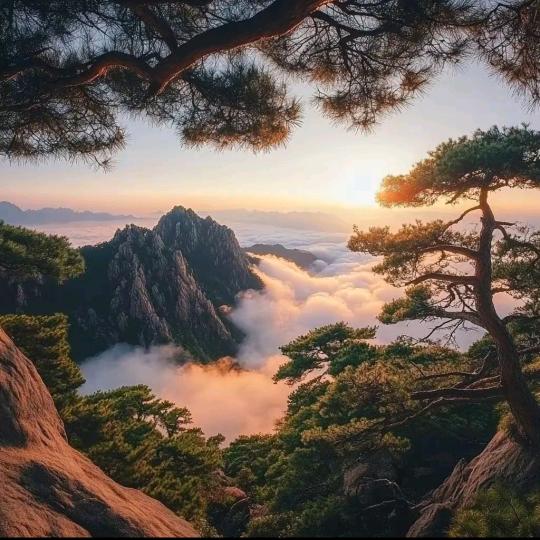 oo-→ 侏亊順利〆℡~