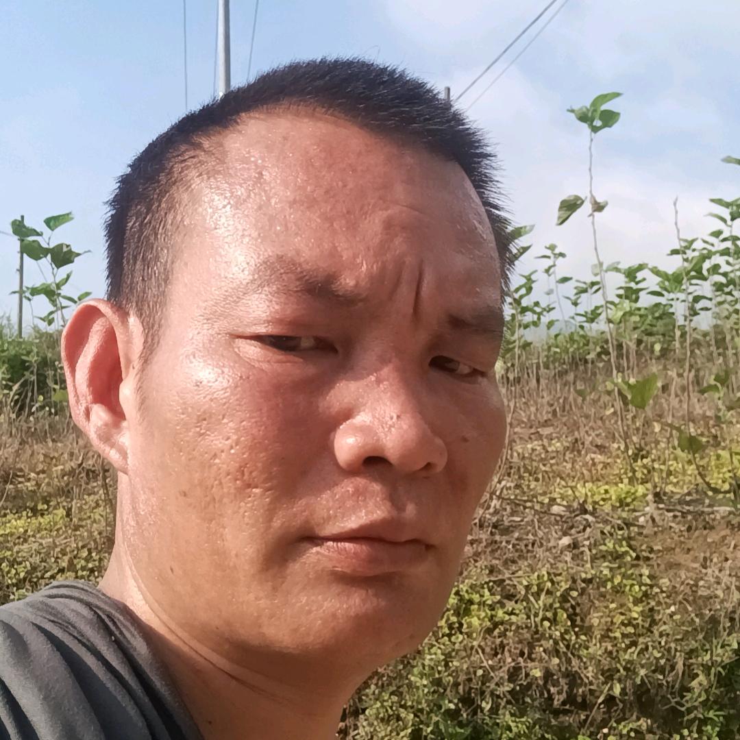 老七