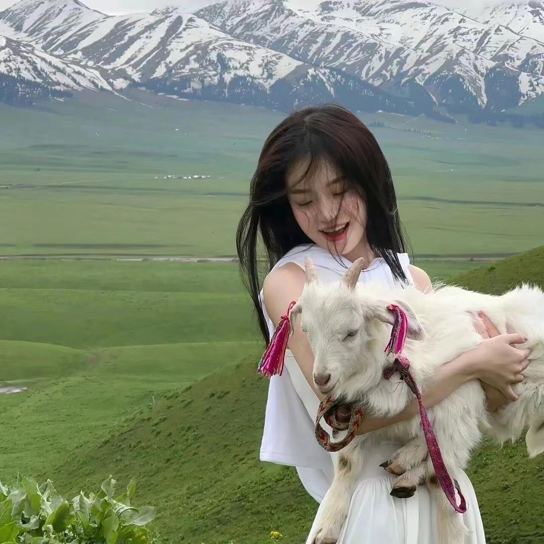 1️⃣号小葵