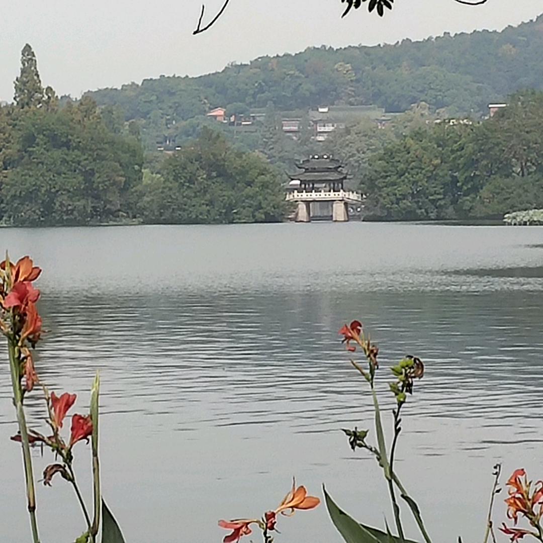 少数人头像