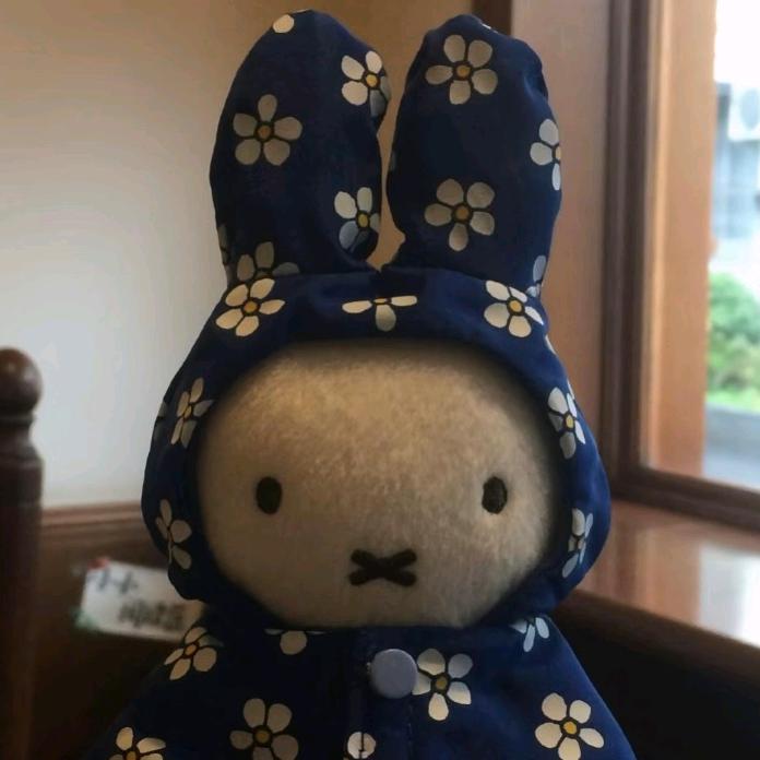 麦辣鸡.