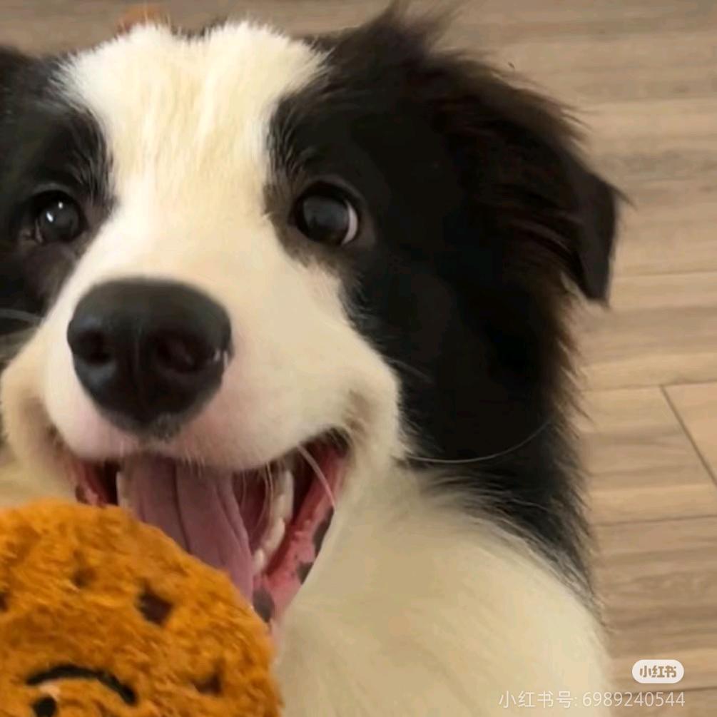 陈占壮的蓝裕童装阁