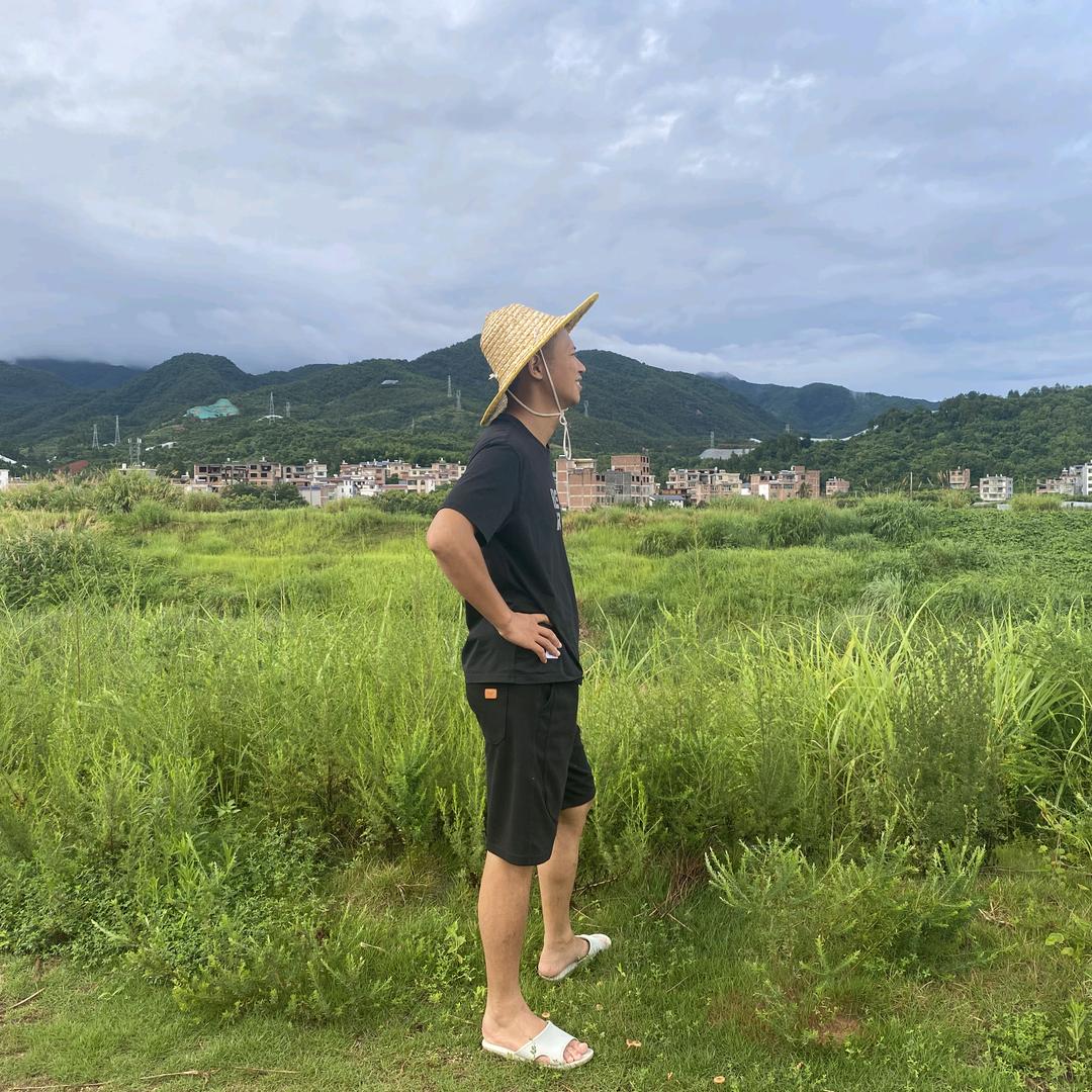 刘培泉