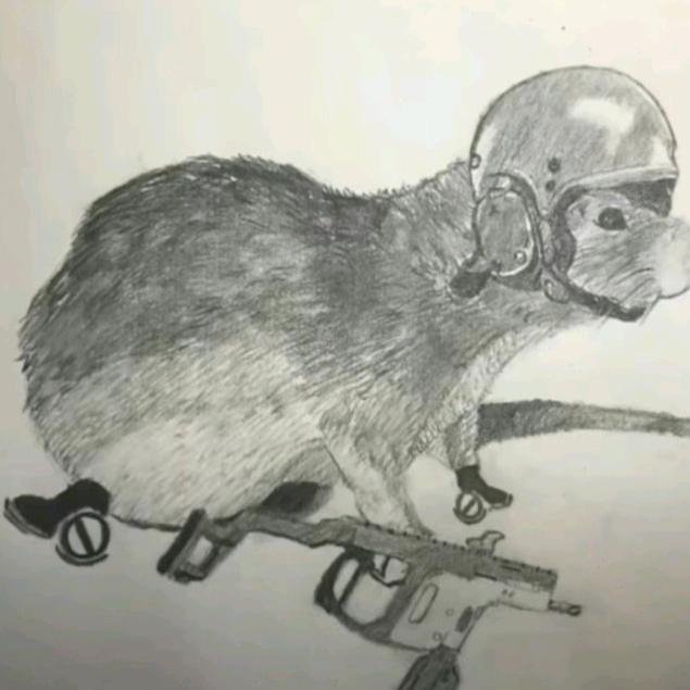 一只战斗鼠