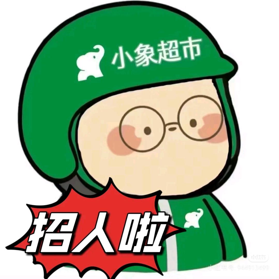 小象超市直招 鸽鸽