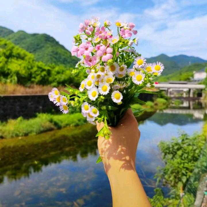 岁月静好