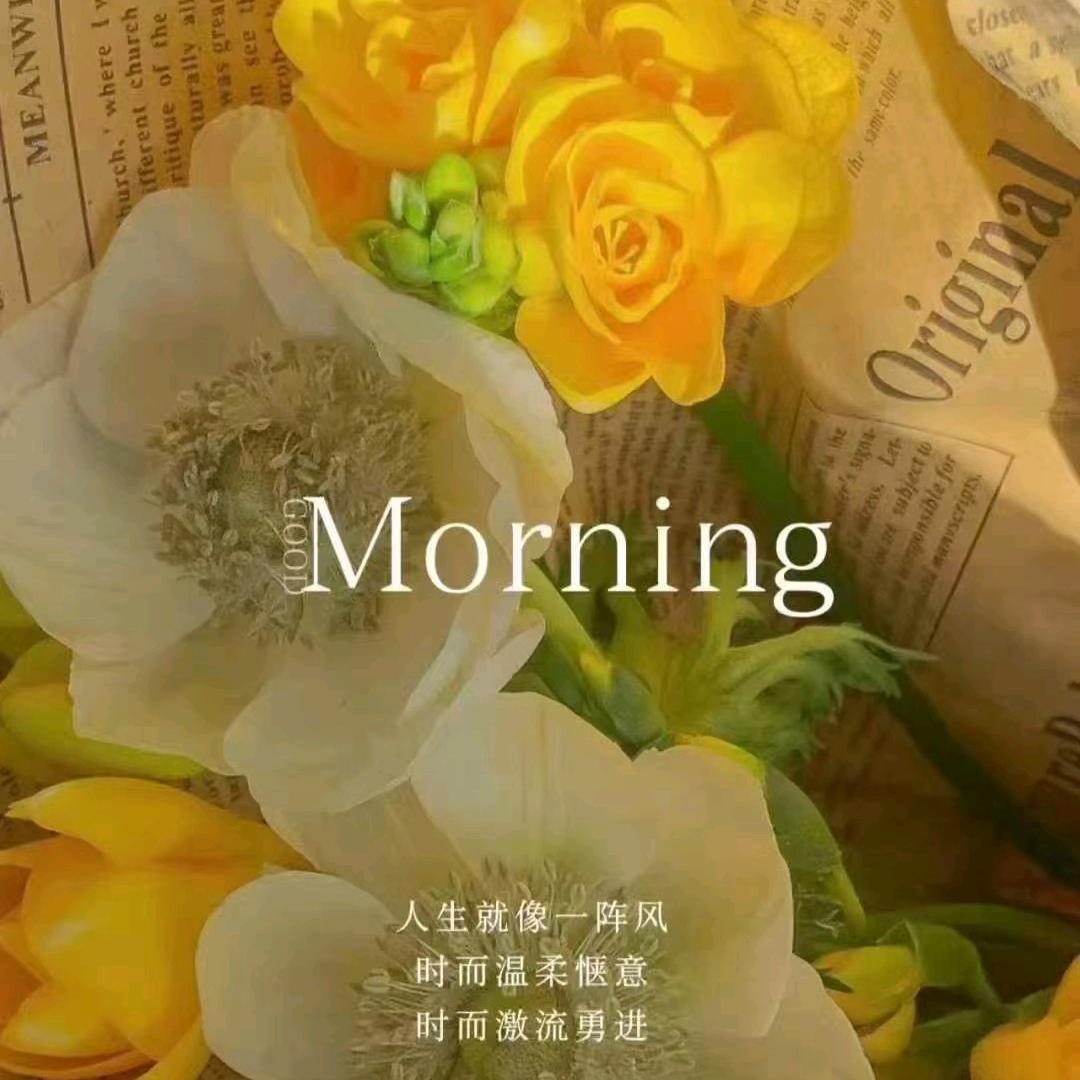 兜里半颗糖