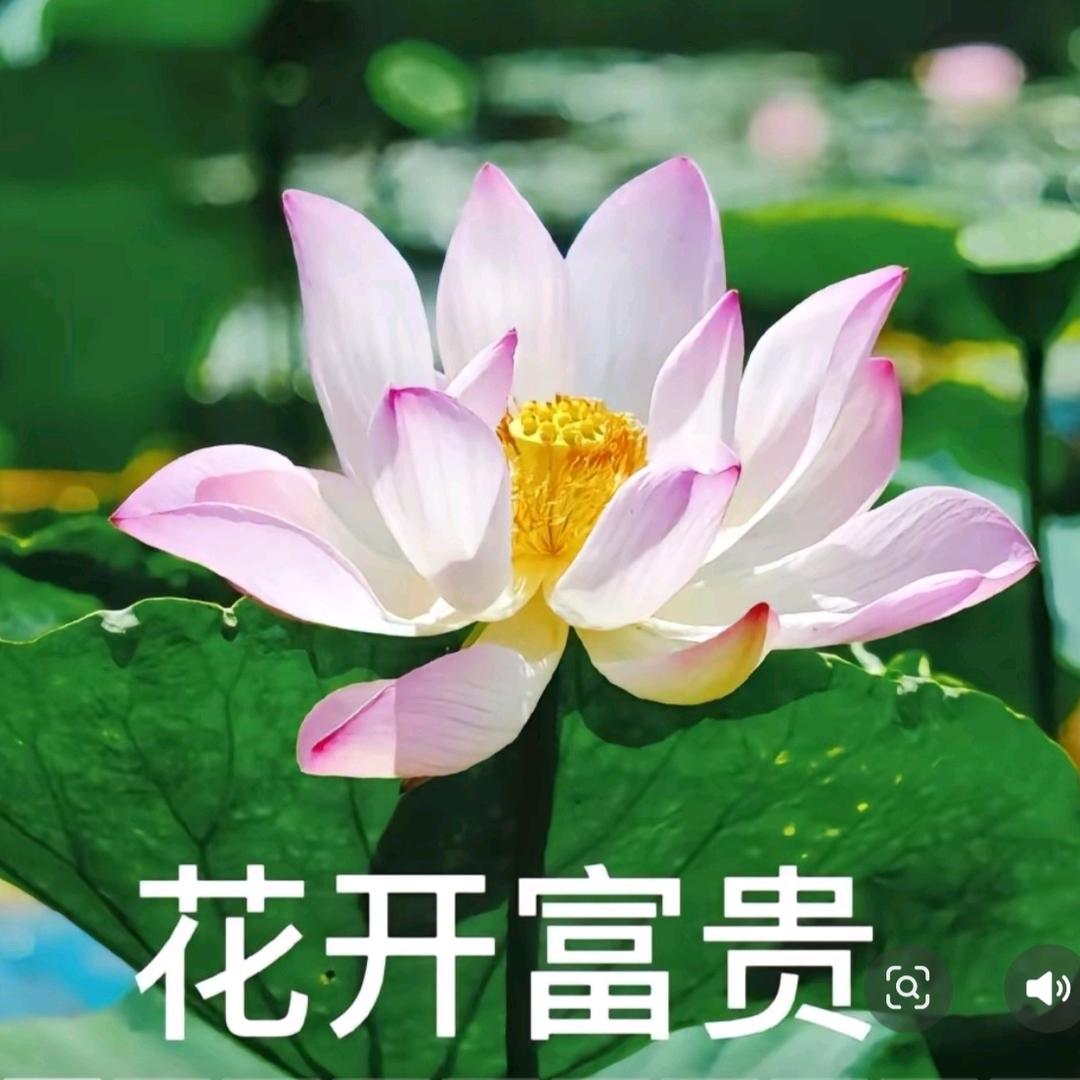 自然开心