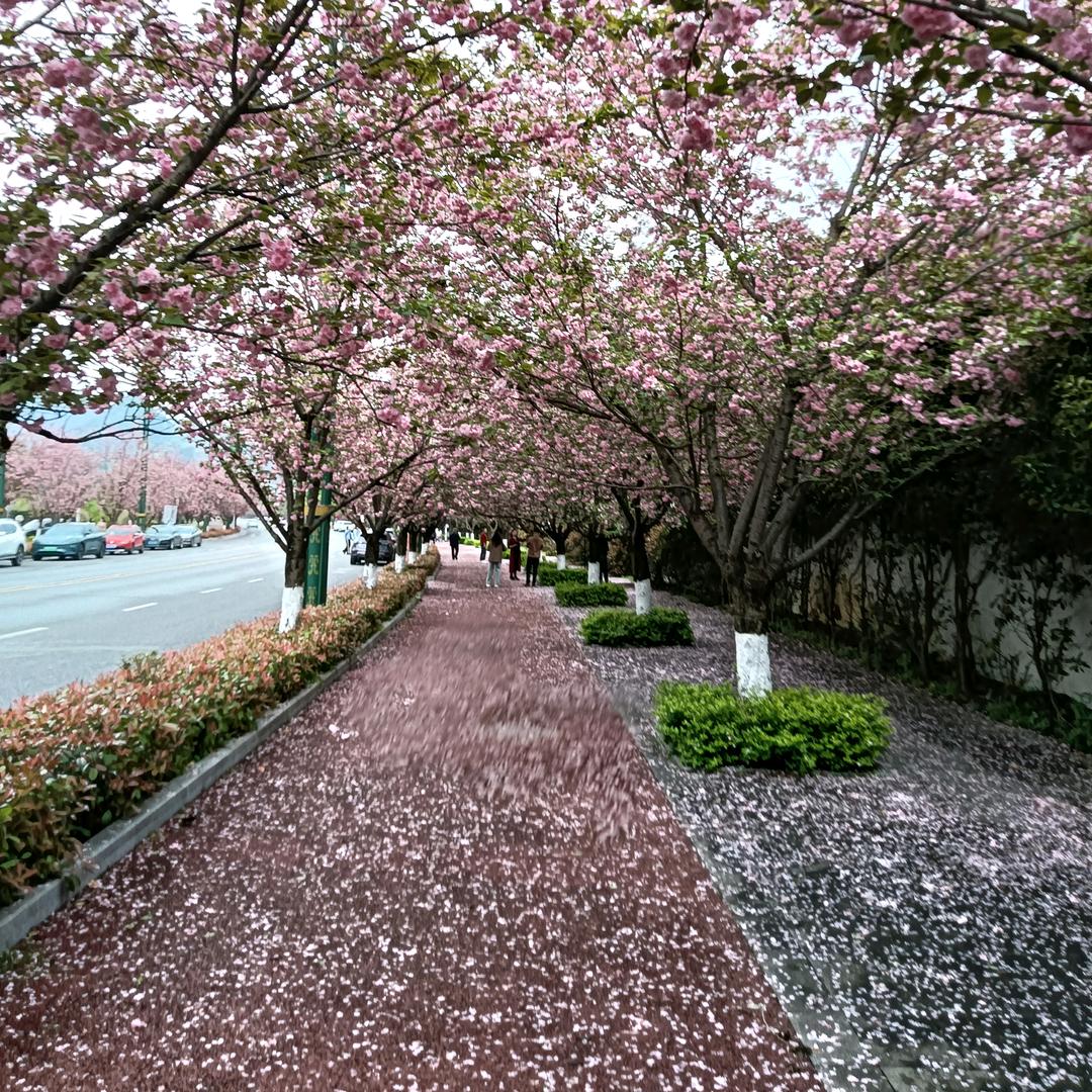 明天的明天……