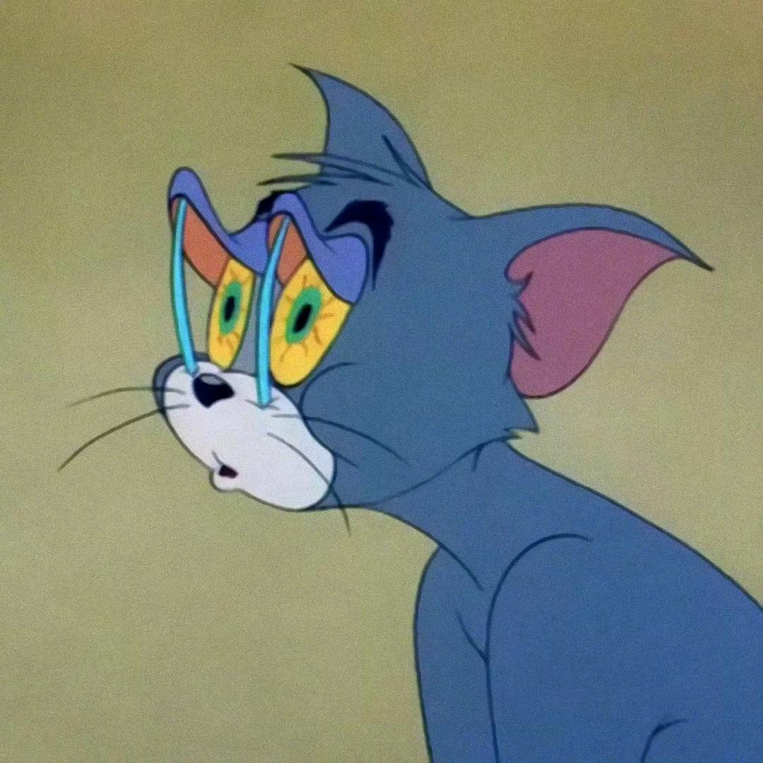 鸭梨♥(｡￫v￩｡)♥