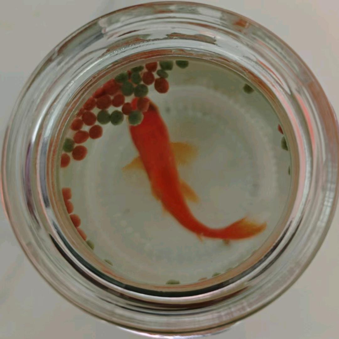 21.57