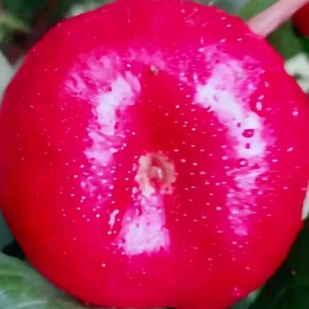 桃香浓2068561756499