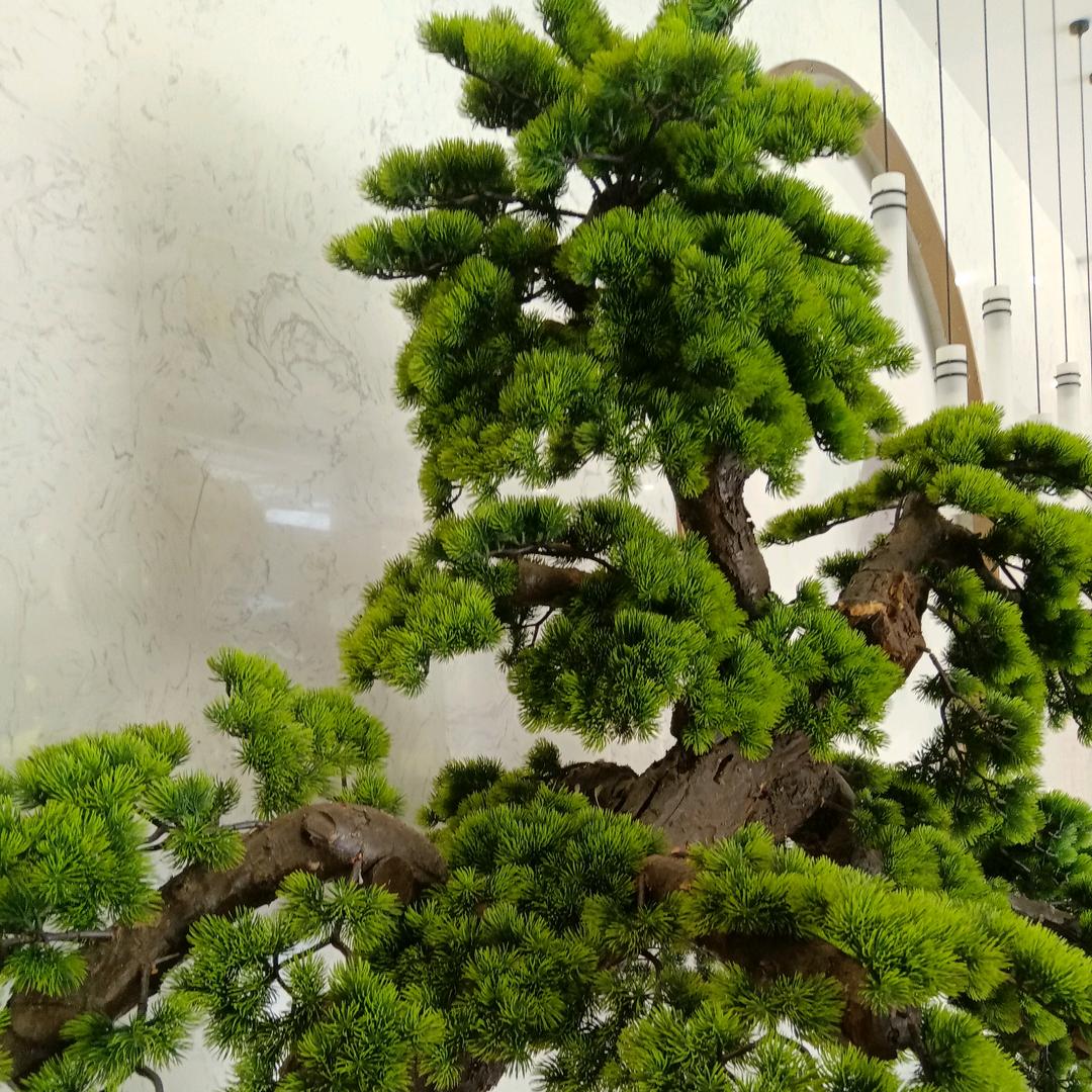 一薪一亿