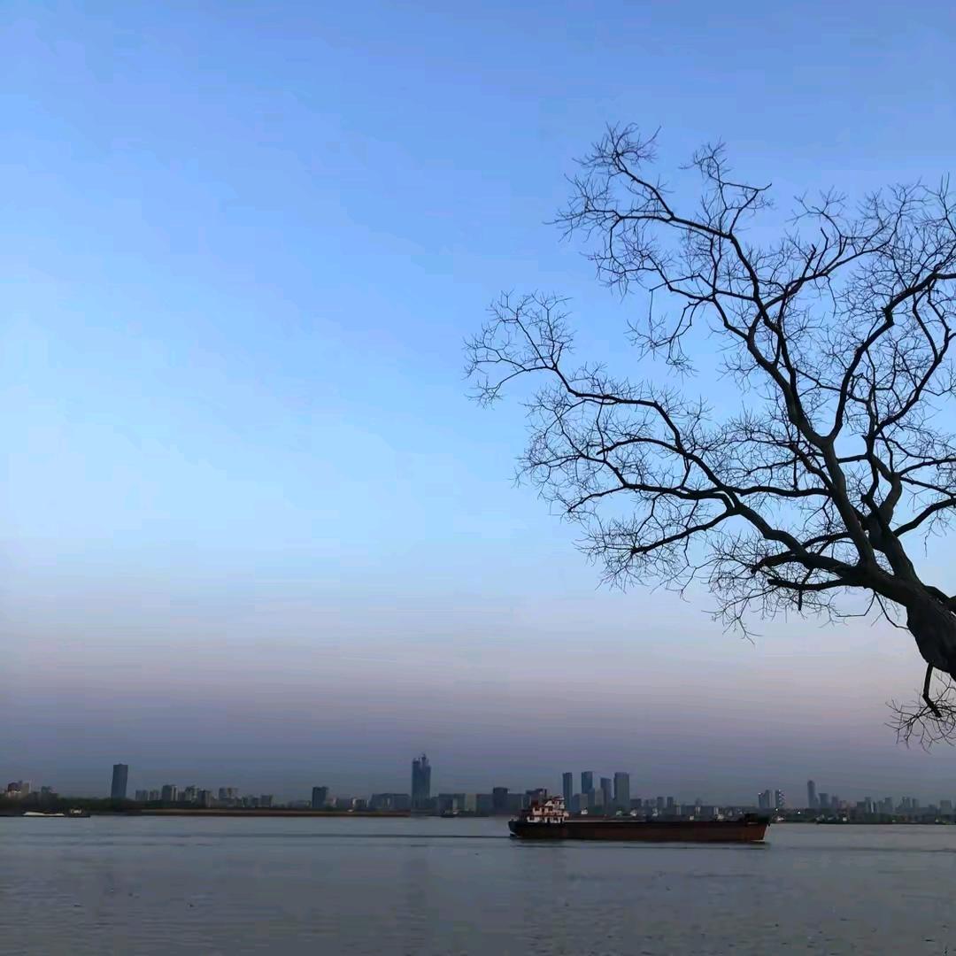北极熊舞剑