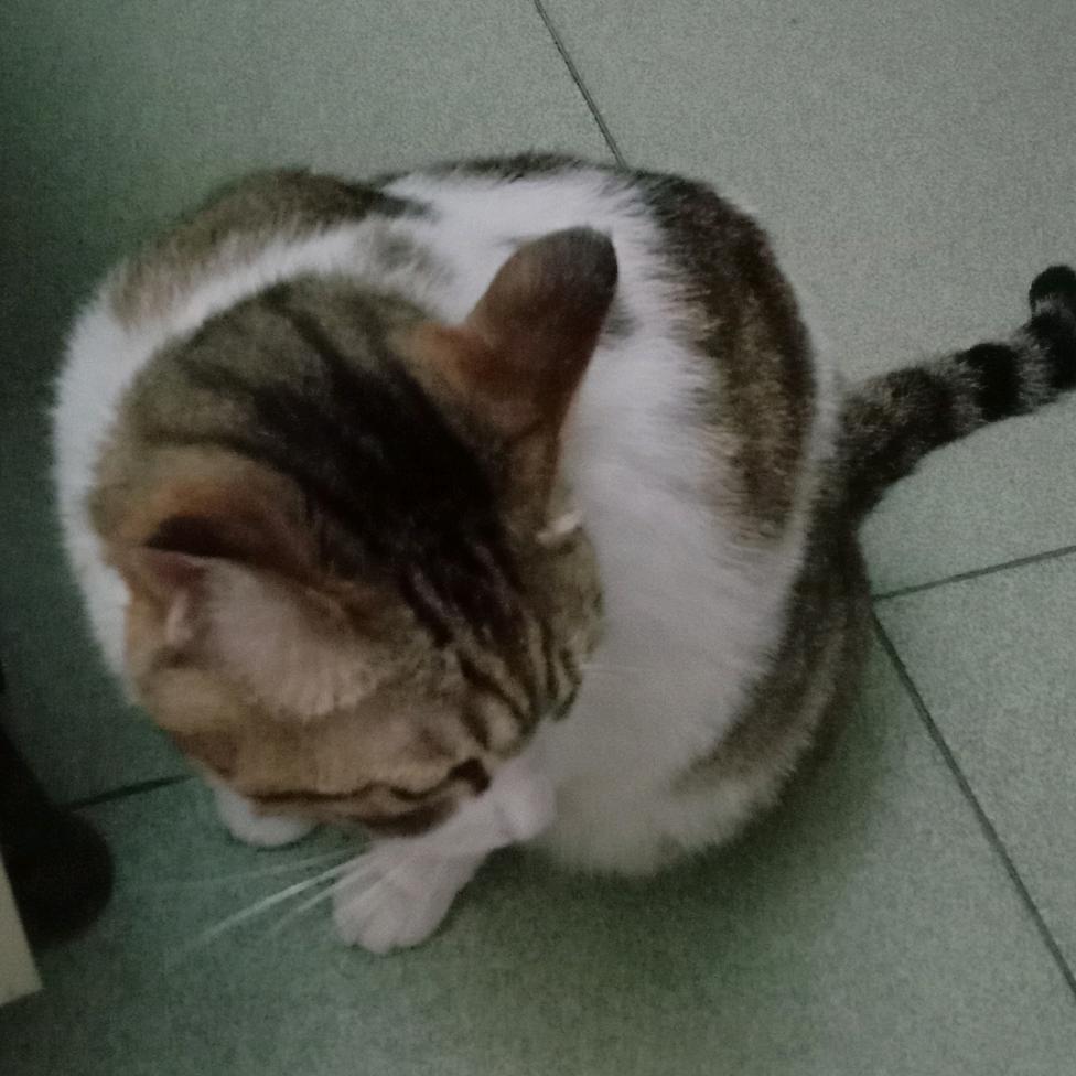 秀姐购物
