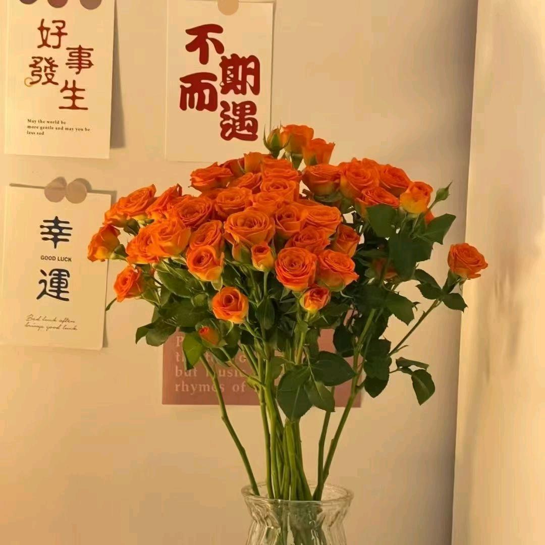 @ぃ小yan同学
