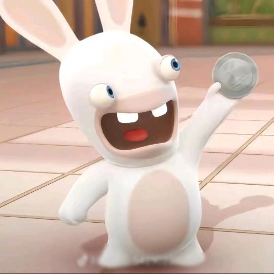 天天向上的小王同学（捡猫版）