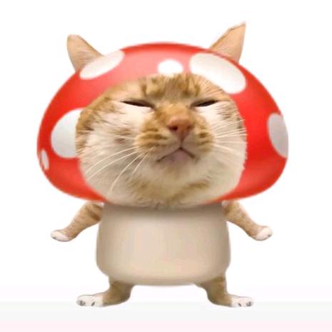 诗.