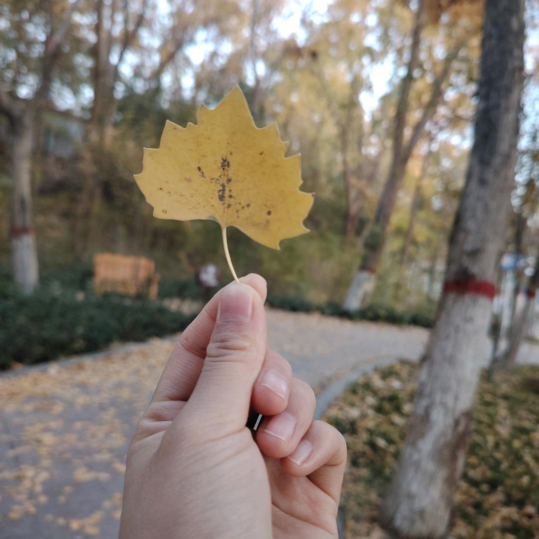 ༽ཽ²º²⁵༼ཽ༉爱喝三分甜᭄ 10.8